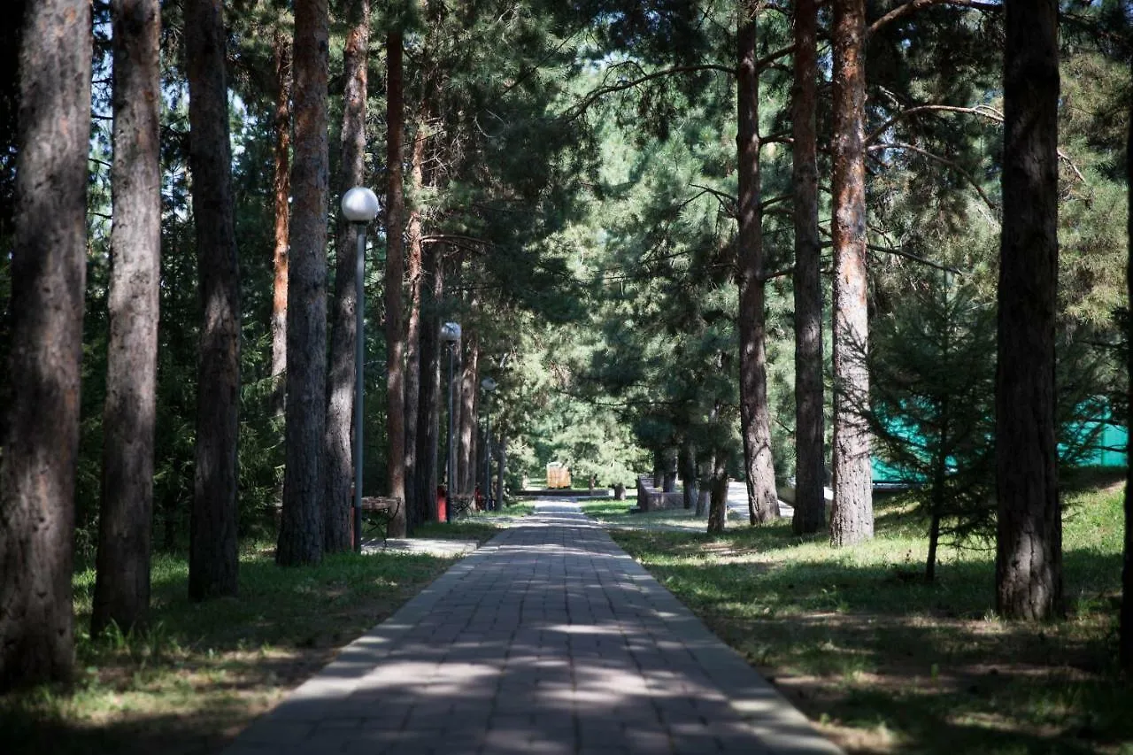 Alpen Ville Hotel Almaty